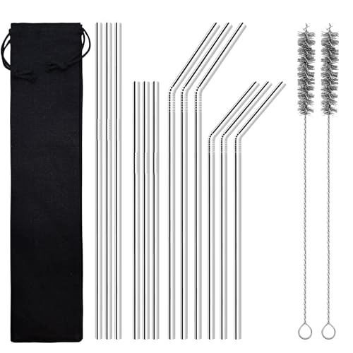 12 Stainless Steel Straws with 2 Cleaning Brushes